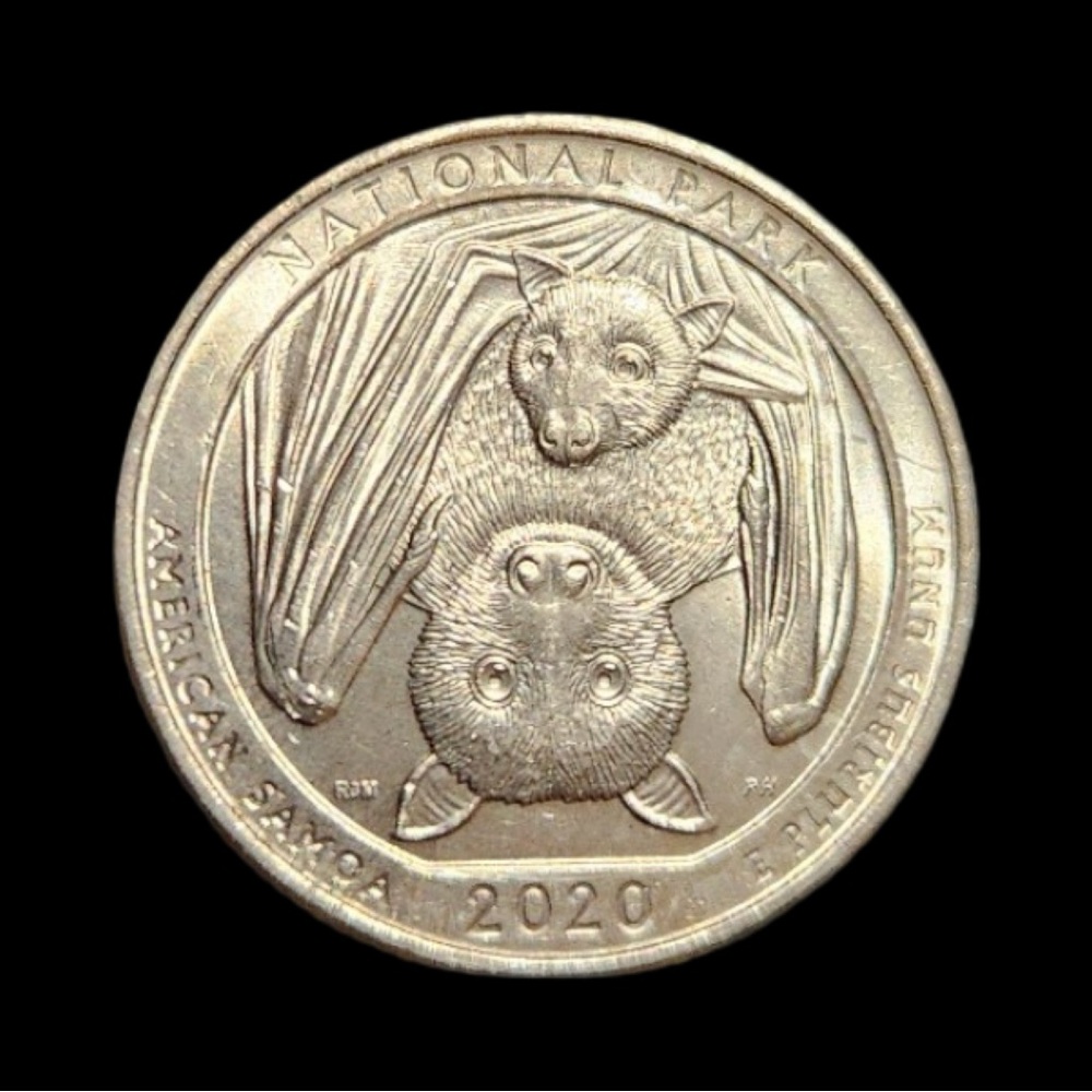 2020 Bat Quarter!